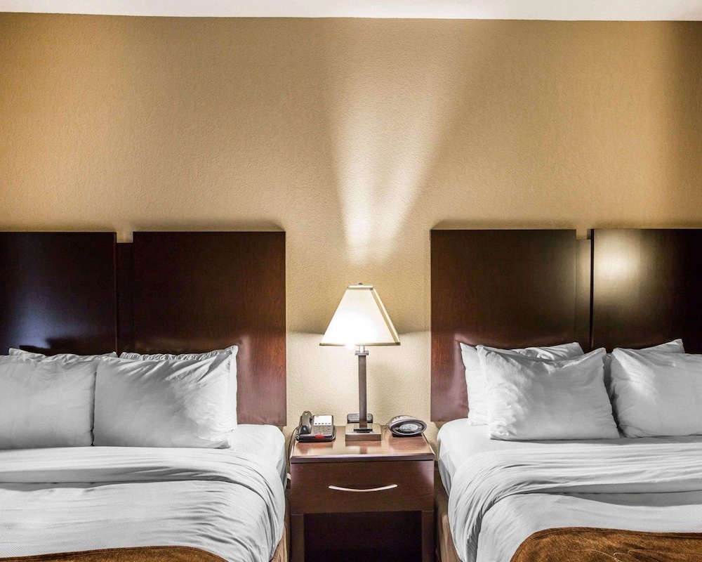 Comfort Suites Whitsett - Greensboro East Whitsett NC 29/41