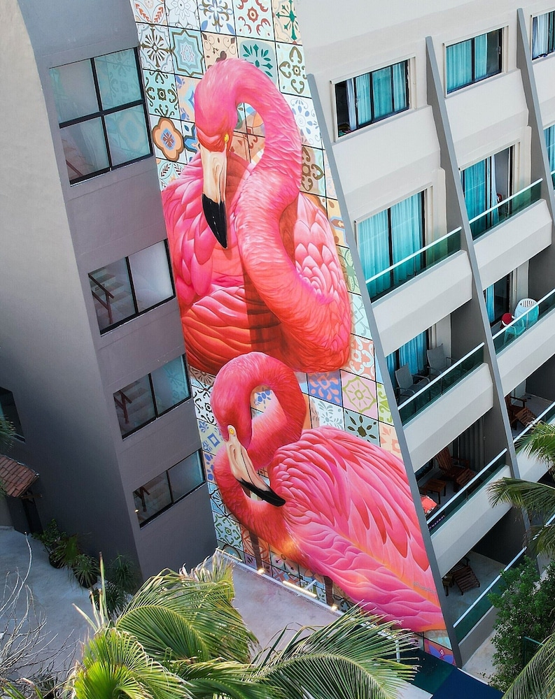 Flamingo Cancun All Inclusive 4/71