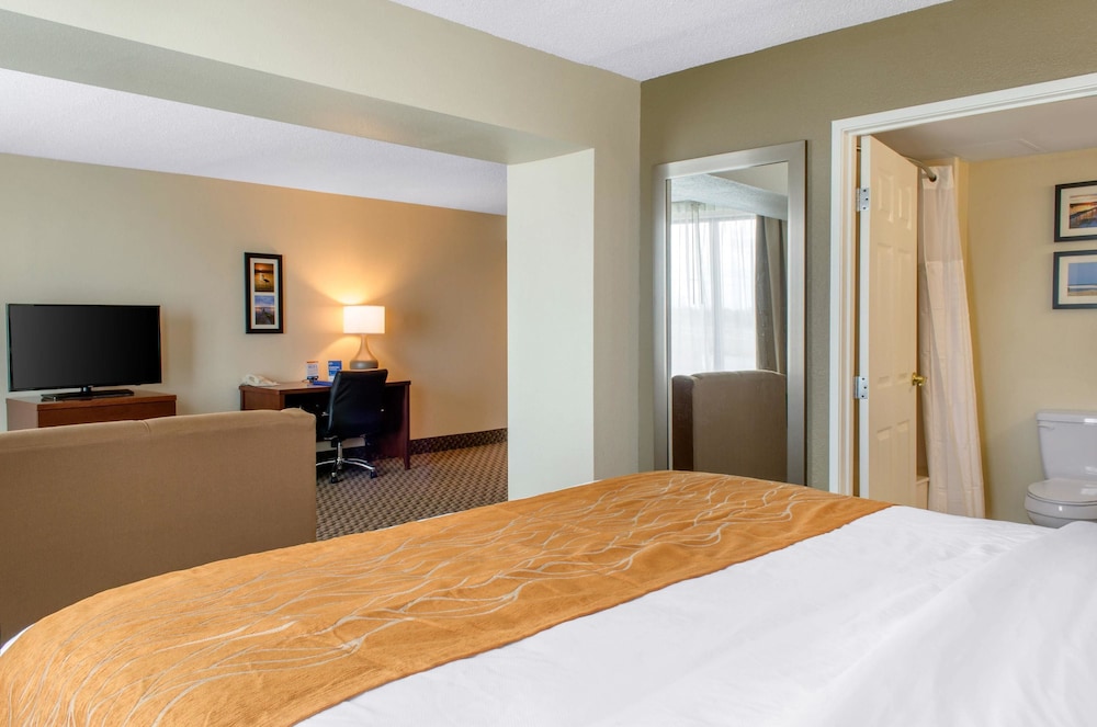 Comfort Inn and Suites Biloxi D Iberville 15/47