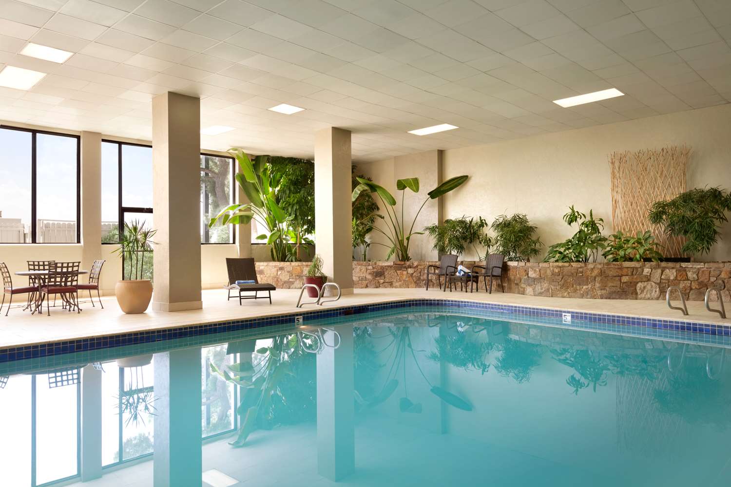 swimming pool spa