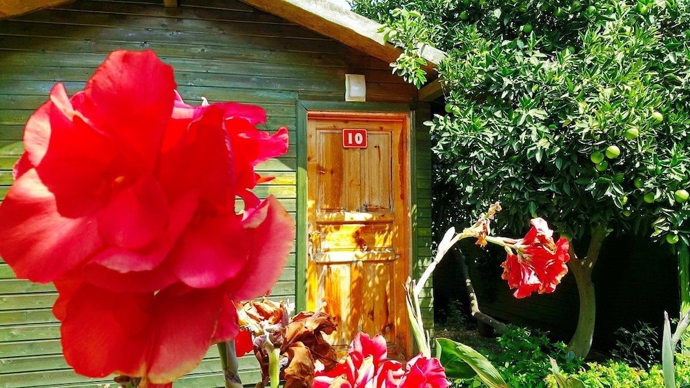 Olympos Tatilya Pansiyon 11/41