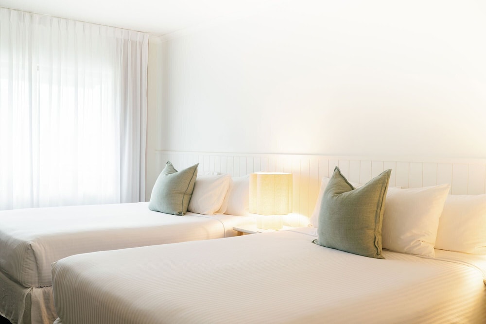 Green, Superior, Economy, 2 Queen Beds