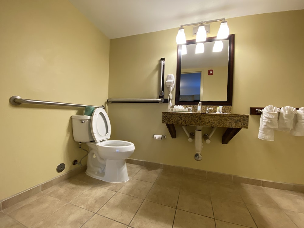Quality Inn Flamingo 21/40