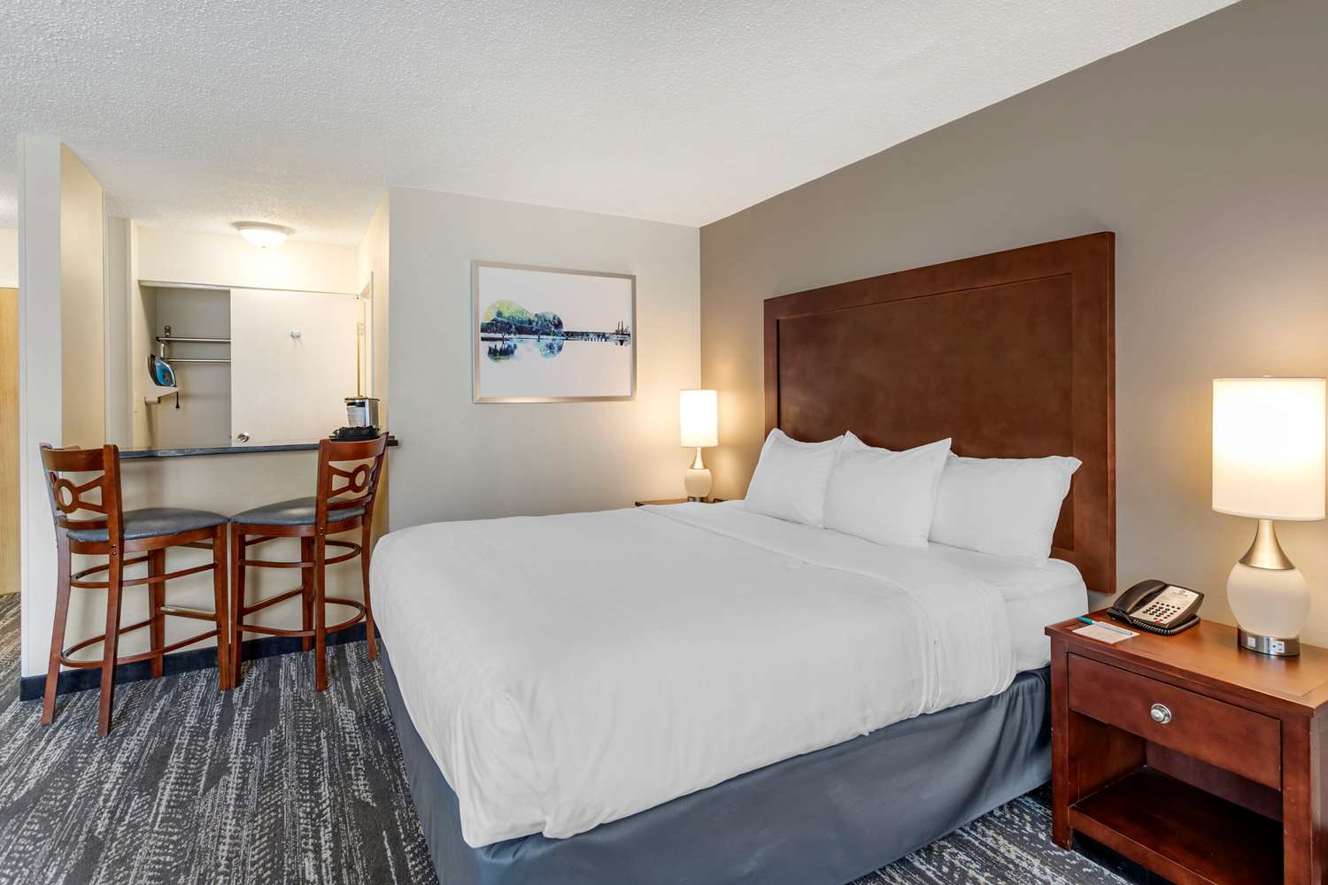 Room, King Bed, Accessible