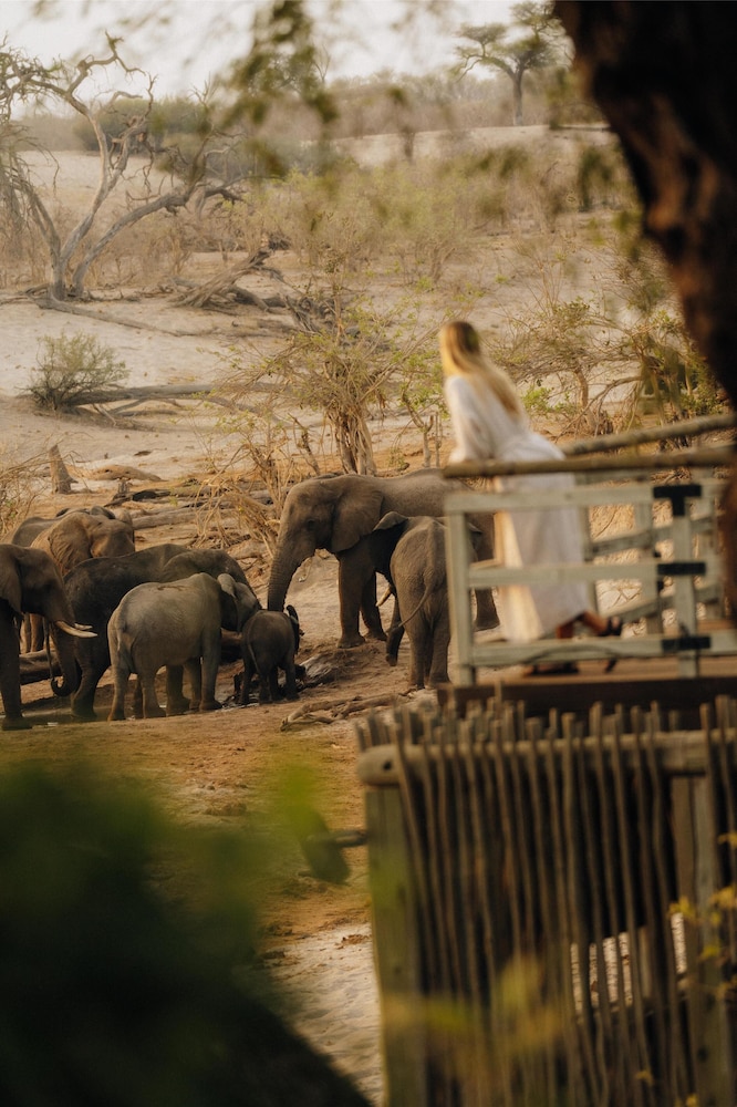 Belmond Safaris 43/49