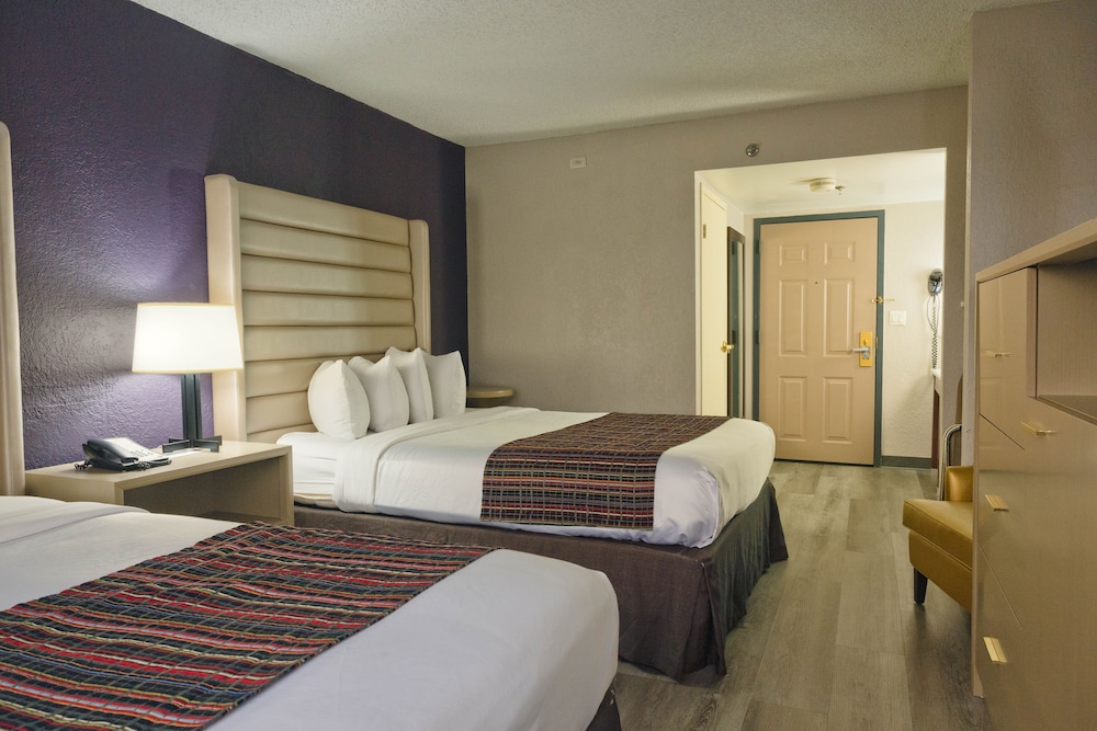 The Palms Inn & Suites 10/45