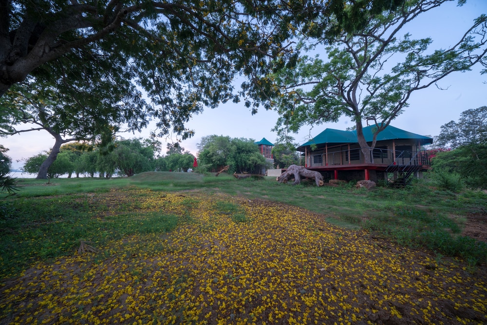 Flameback Eco Lodge 50/61