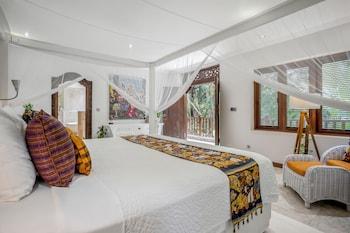 Superior, Suite, Jungle View