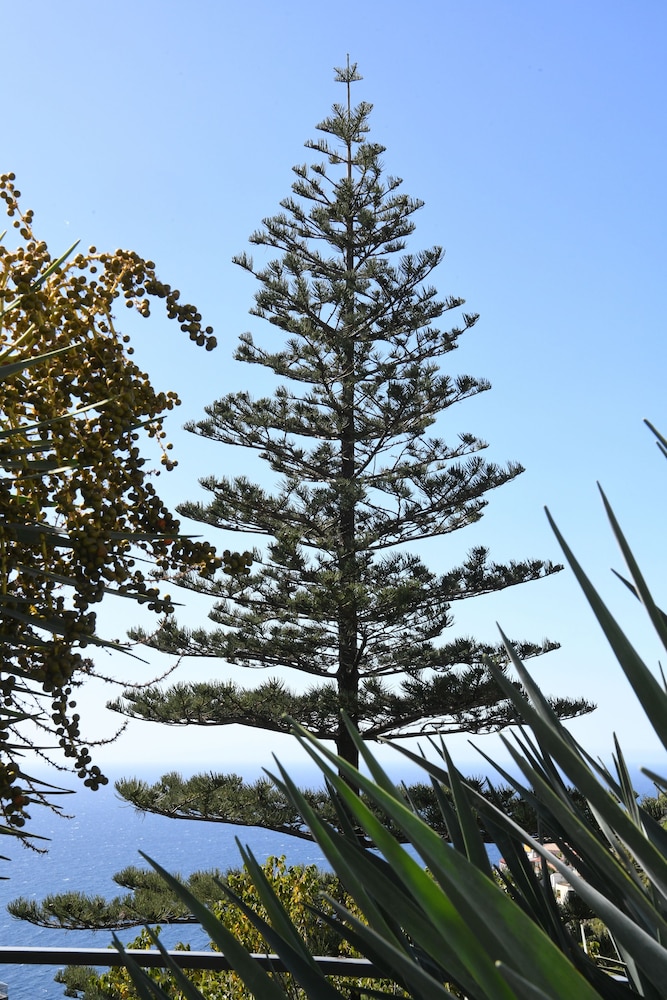 Hotel Do Campo 25/31