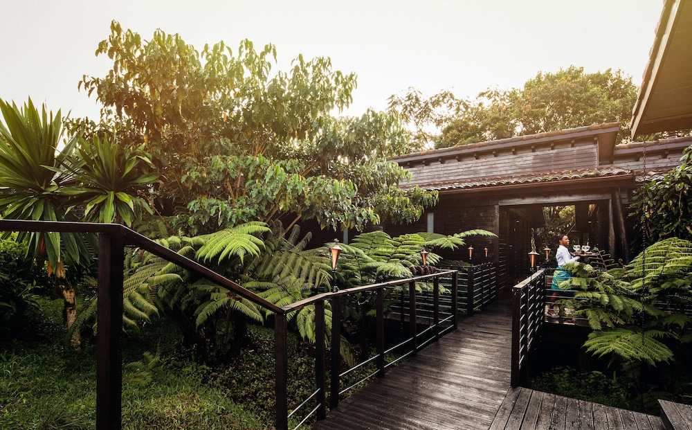Nyungwe Tea Forest Resort 69/71