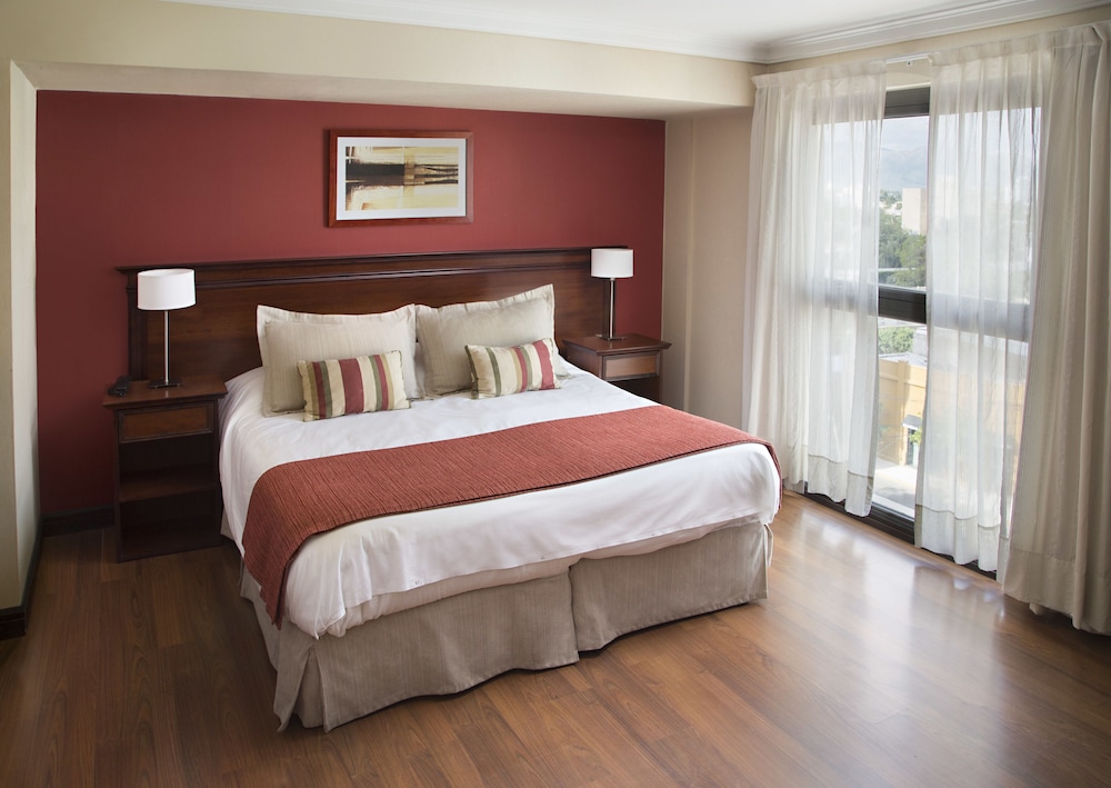 Premium Tower Suites San Luis 21/60