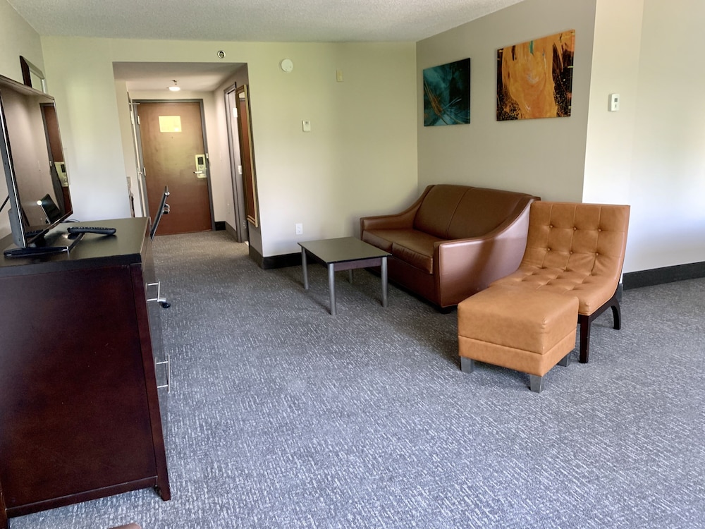 Wingate by Wyndham Atlanta Galleria Ballpark 37/50