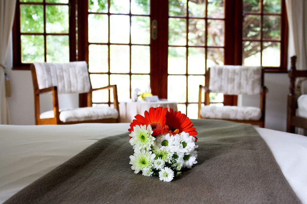Storms River Guest Lodge 29/49