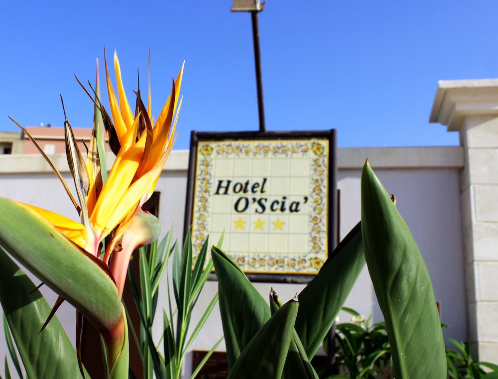 Hotel O Scia 25/50