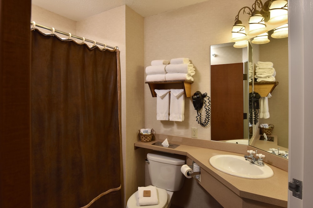 Stoney Creek Hotel Quad Cities 10/39