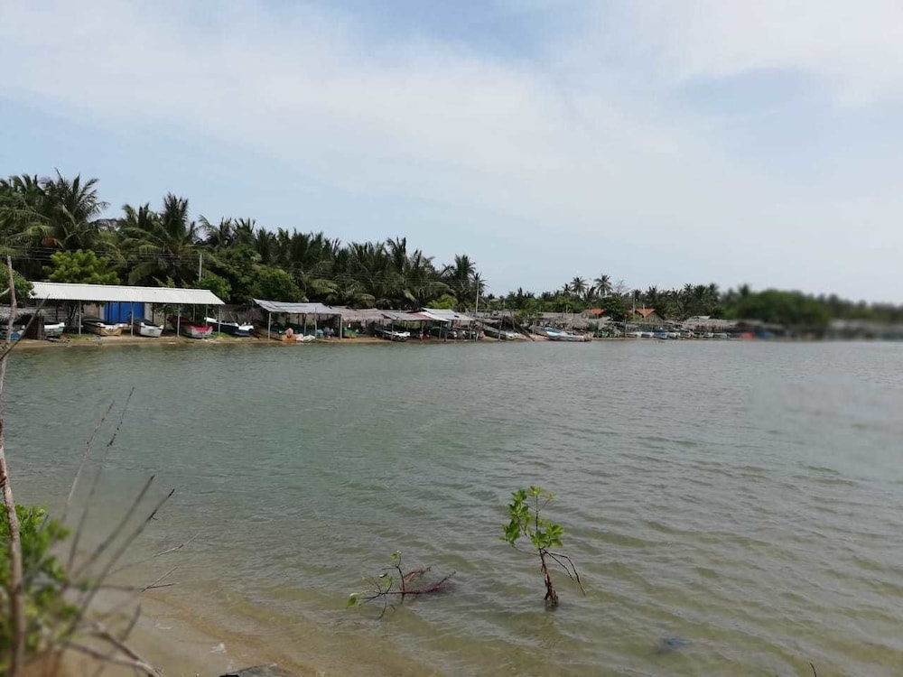 Dolphin Wadiya 14/21