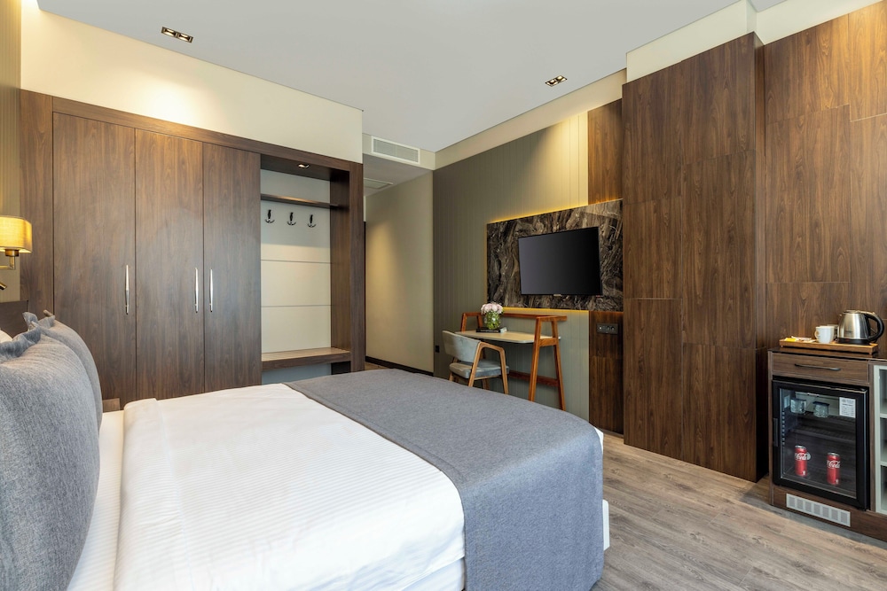 Ezkar Bathonea Art Istanbul Hotel 18/60