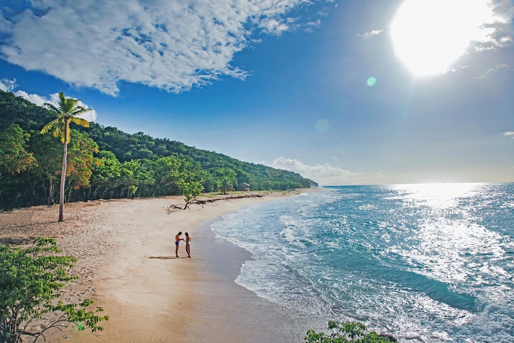 Hawksbill Resort Antigua - Adults Only 56/61