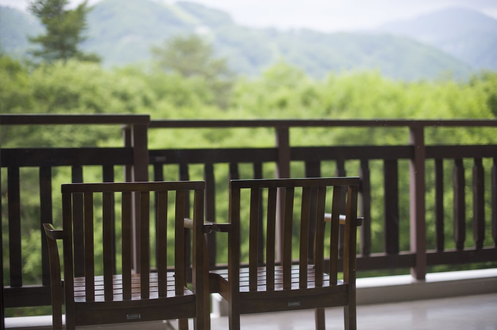 Hakuba Tokyu Hotel 46/50