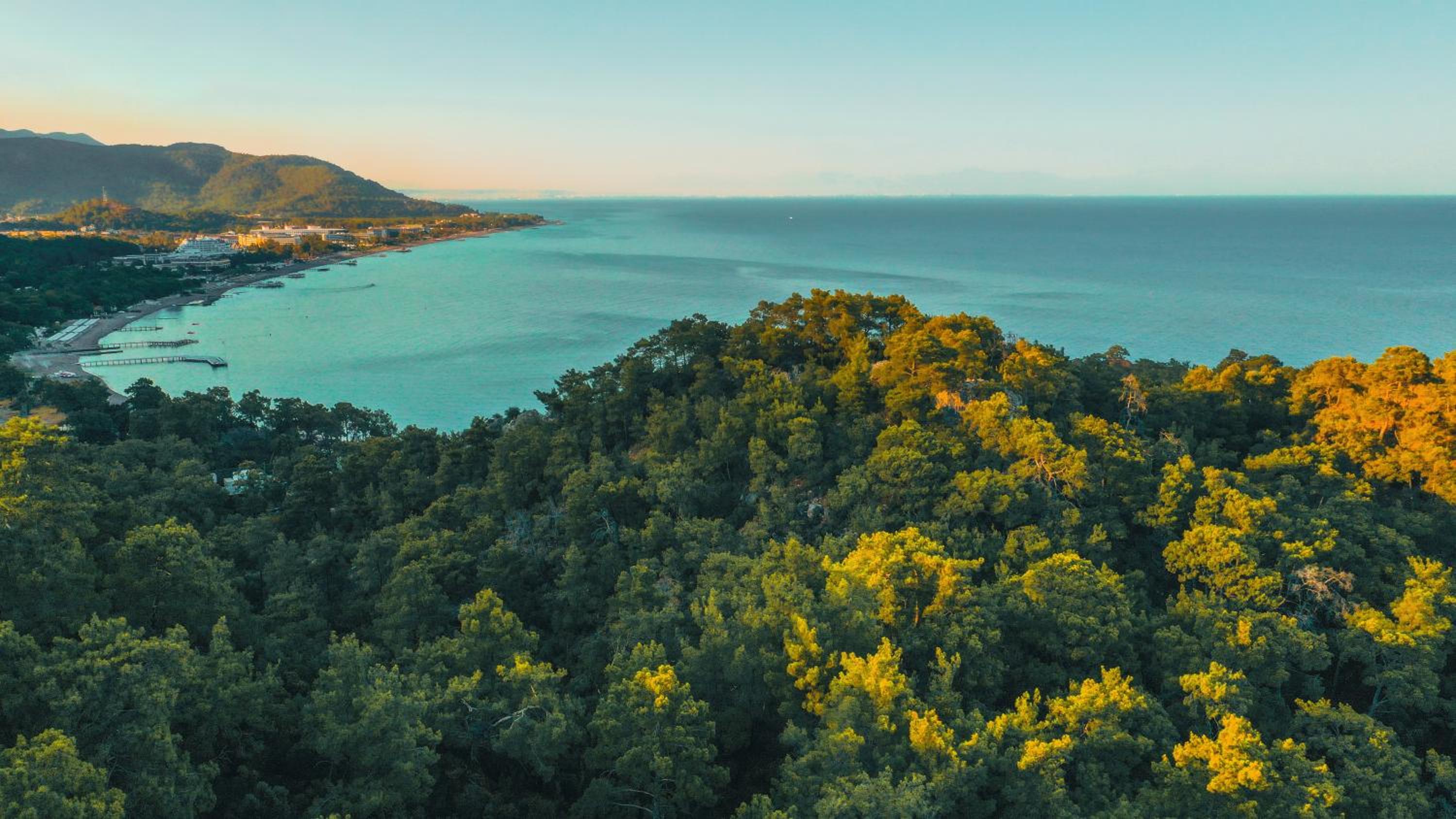 NG PHASELIS BAY 64/67
