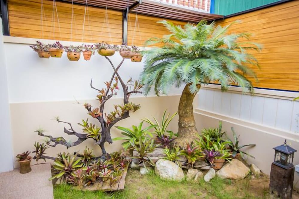 Tree Home Plus Home Stay 10/50