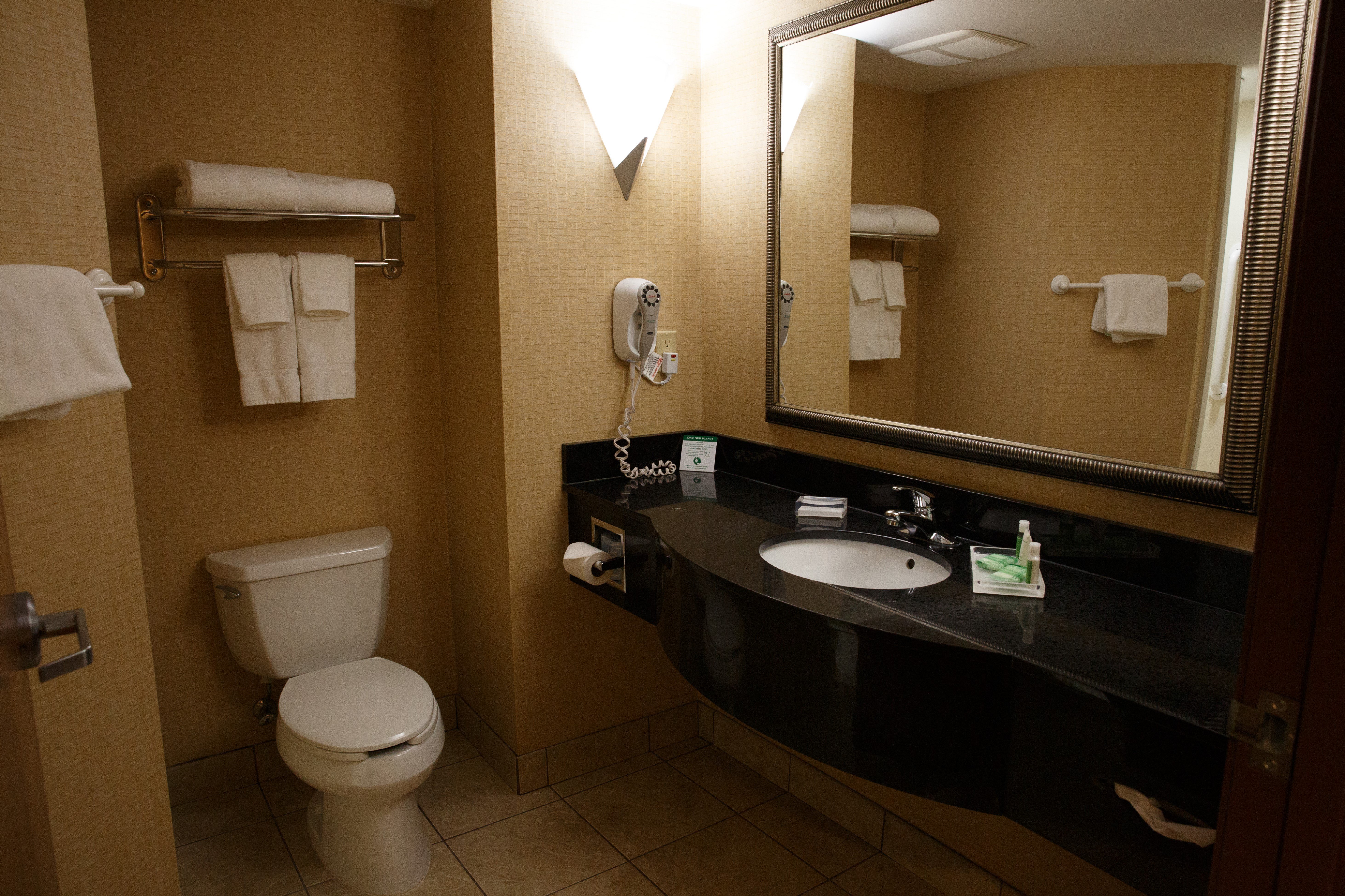 HOLIDAY INN BATTLE CREEK 46/47