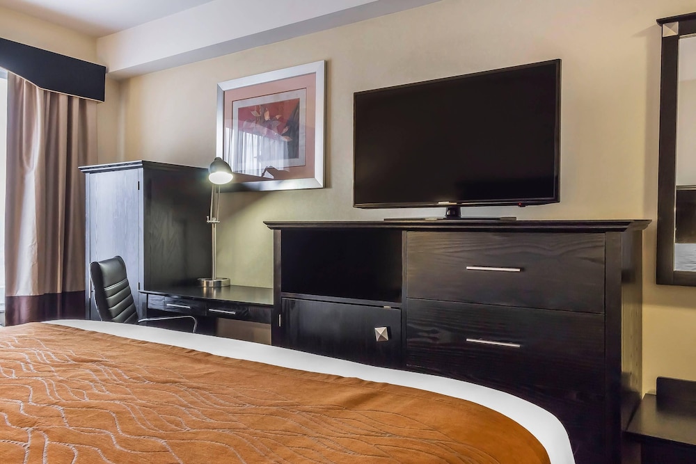 Comfort Inn & Suites LaGuardia Airport 60/64