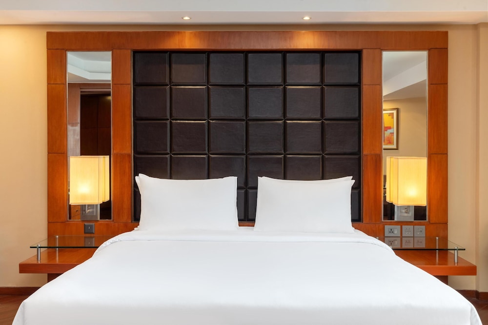 Radisson Blu Plaza Hotel Delhi Airport 26/76