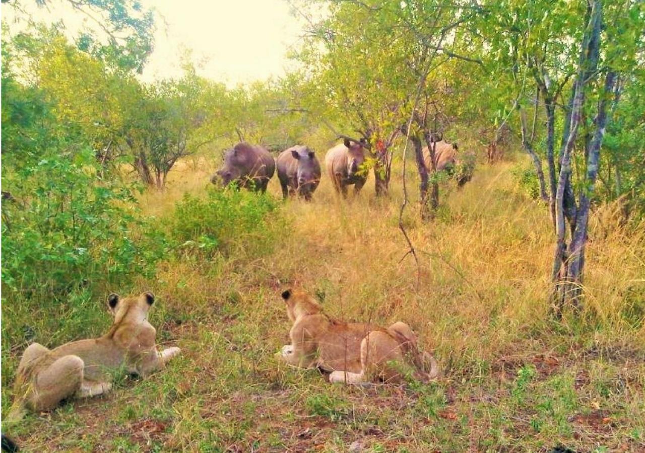 Elephant Game Lodge 52/56