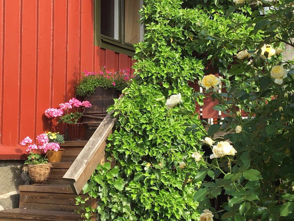 Annes Hus 43/50