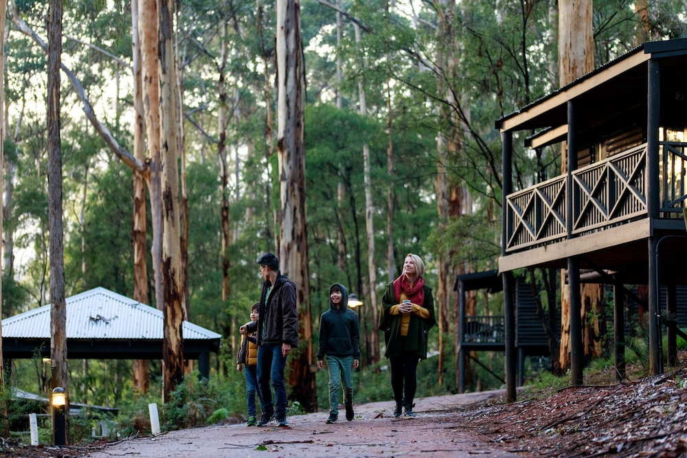 Karri Valley Resort 33/50