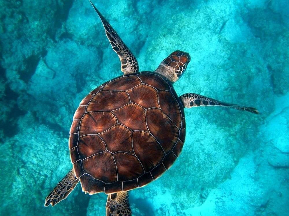 NINGALOO LODGE EXMOUTH. 10/50