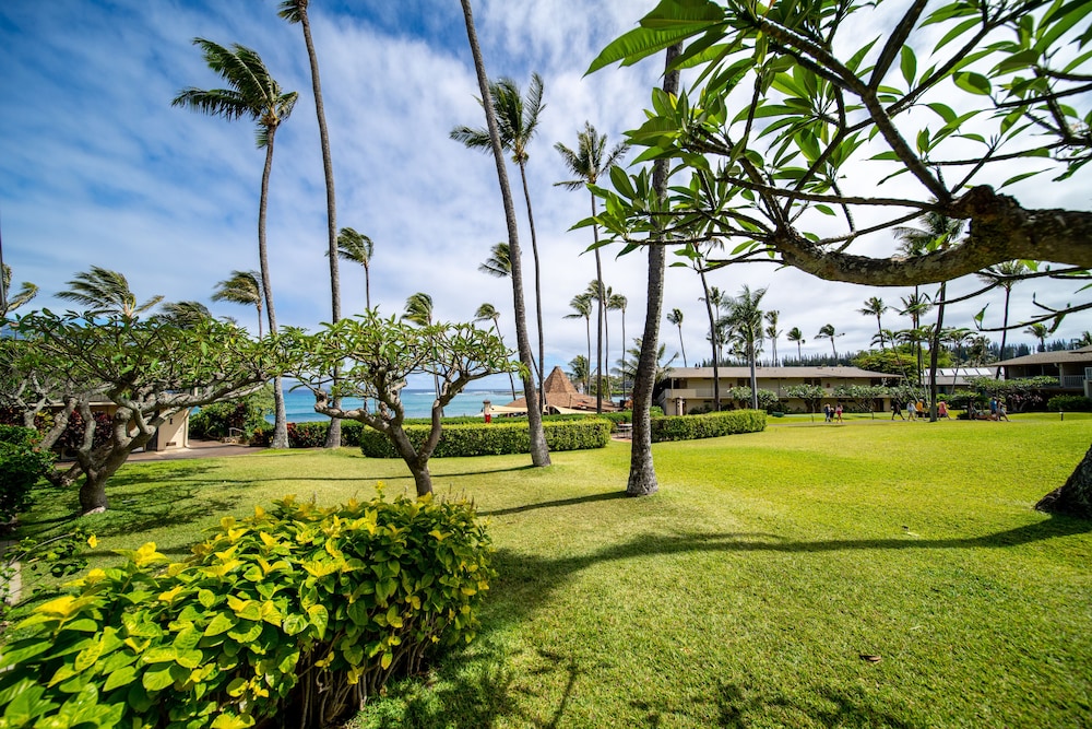 Napili Shores Maui by Outrigger 45/50