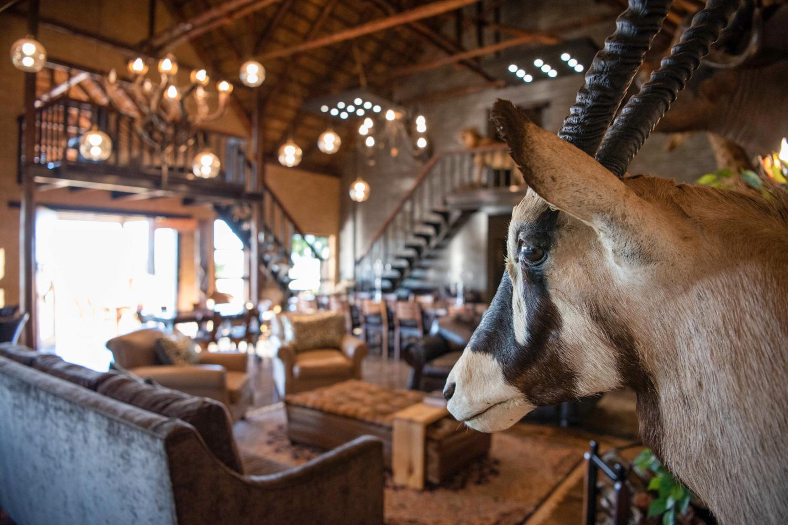 Morakane Safari Lodge 8/20