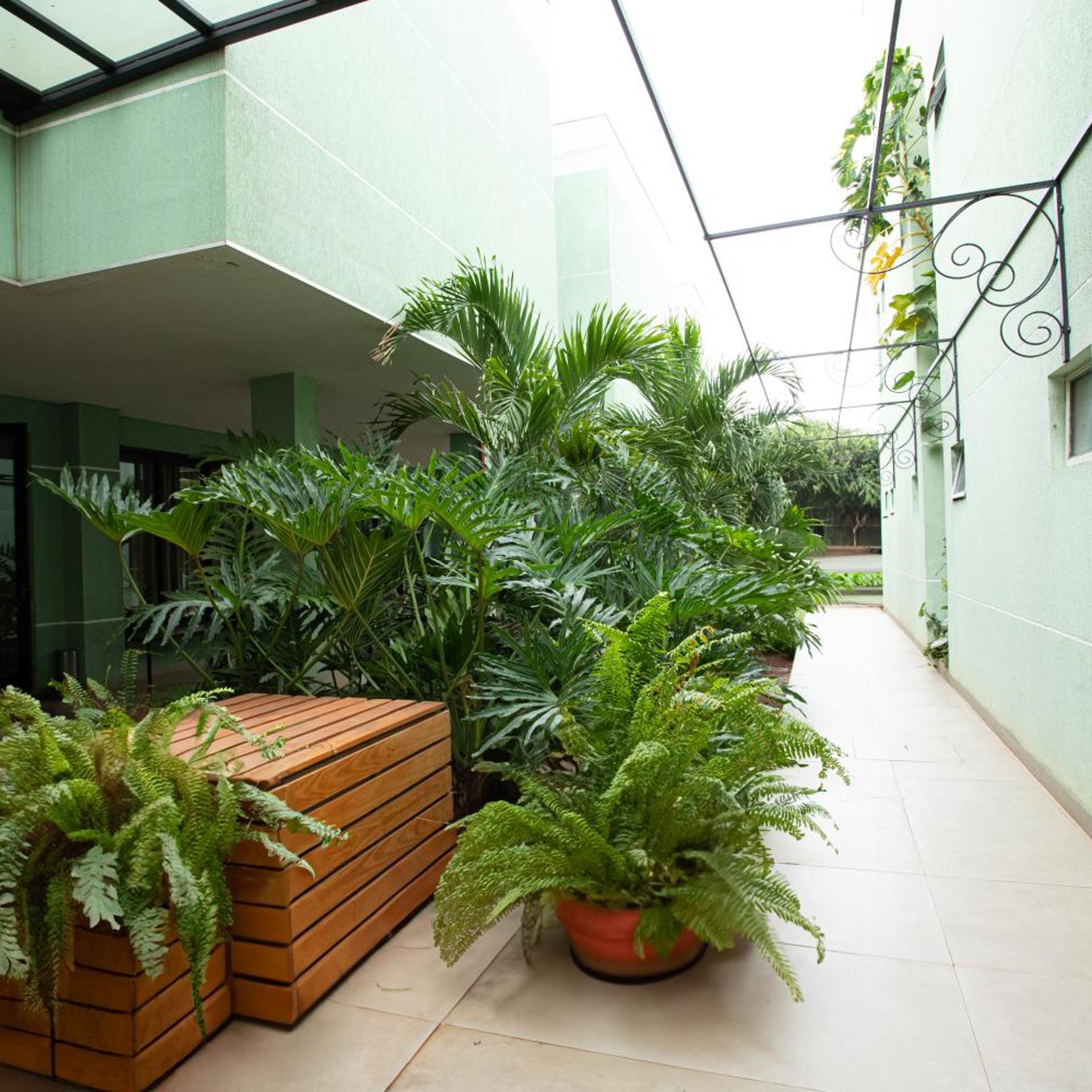 Ellus Hotel 3/50