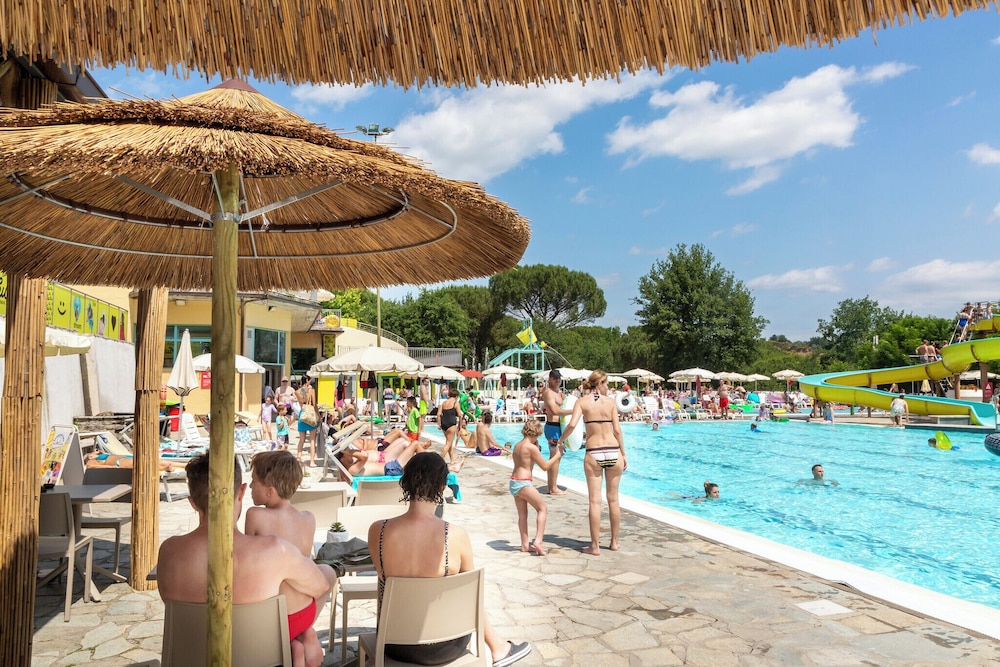 Norcenni Girasole Club 39/50