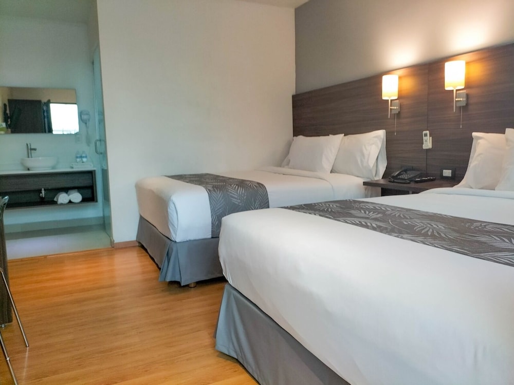 El Hotel Business Class 14/56