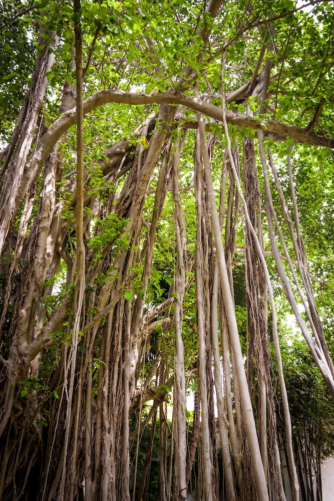 Quinta Nina Playa del Carmen - Adults Only 66/68