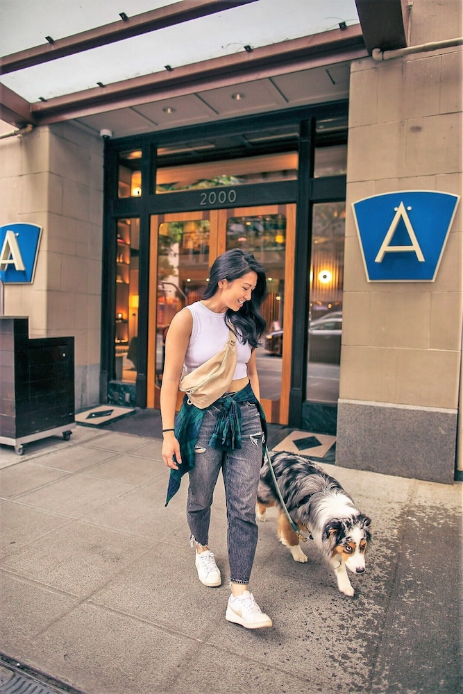 Hotel Andra Seattle - MGallery Collection 44/71