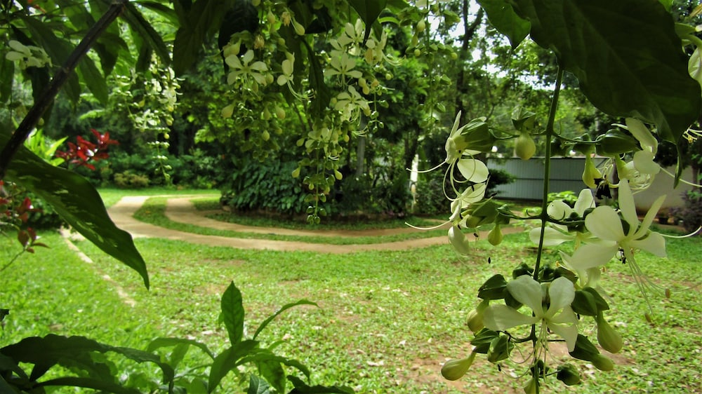 Pura Sanda Villa 25/36