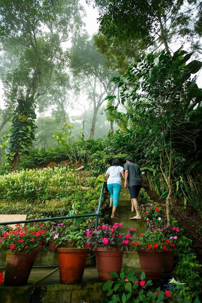 MISTY MOUNTAIN RESORT 51/64