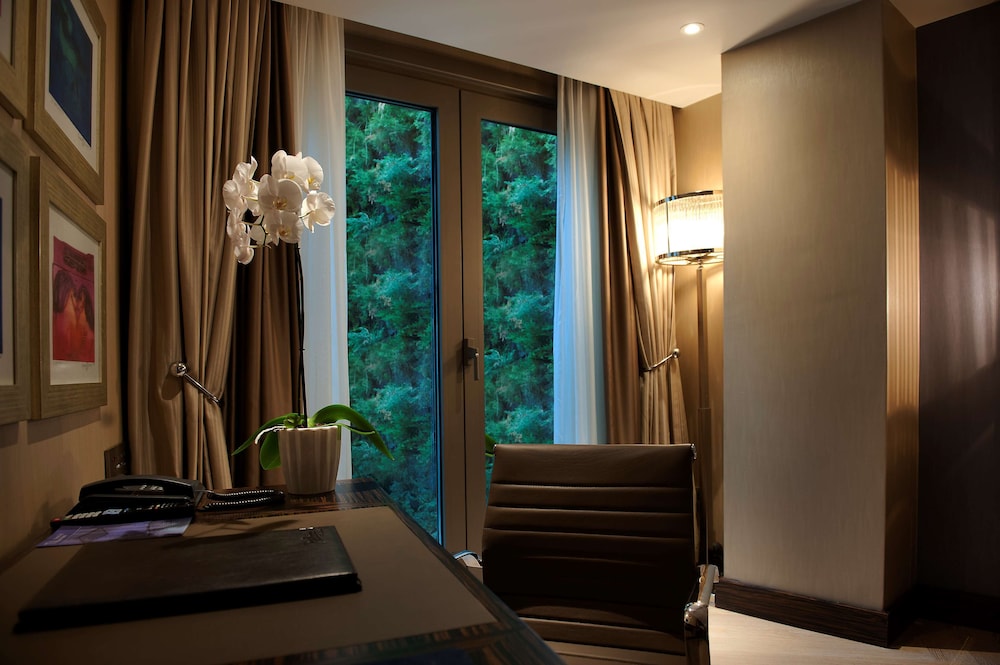 Radisson Blu Hotel Istanbul Pera 36/78