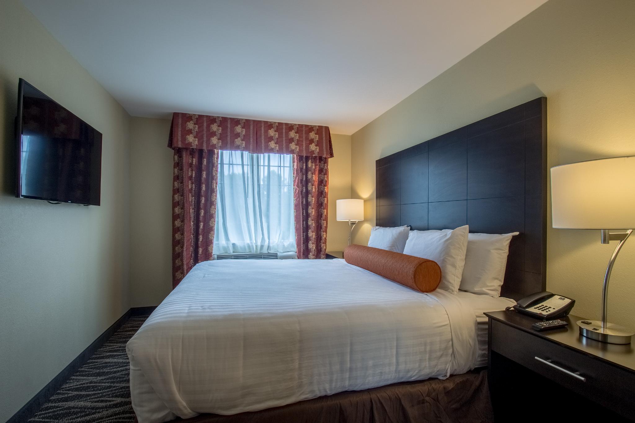 Suite, Single, King Bed, Accessible