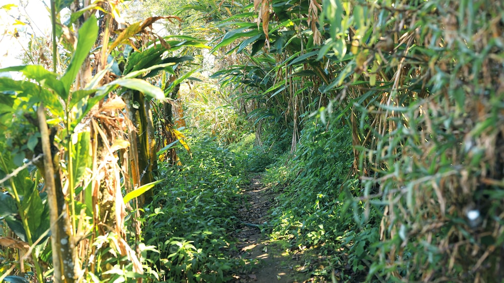 surroundings