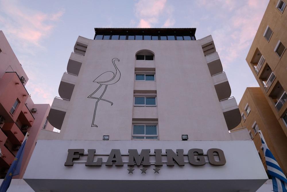 弗拉明戈海滩酒店(Flamingo Beach Hotel) 图片2