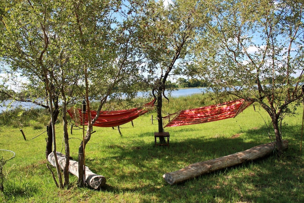 Hippo Island Okavango Delta 6/19