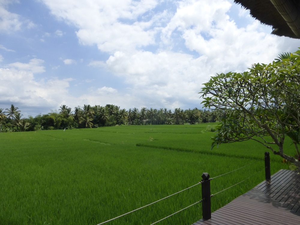 Bali Harmony Villas 22/50