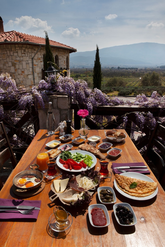Vinifera Vineyards Hotel 36/50