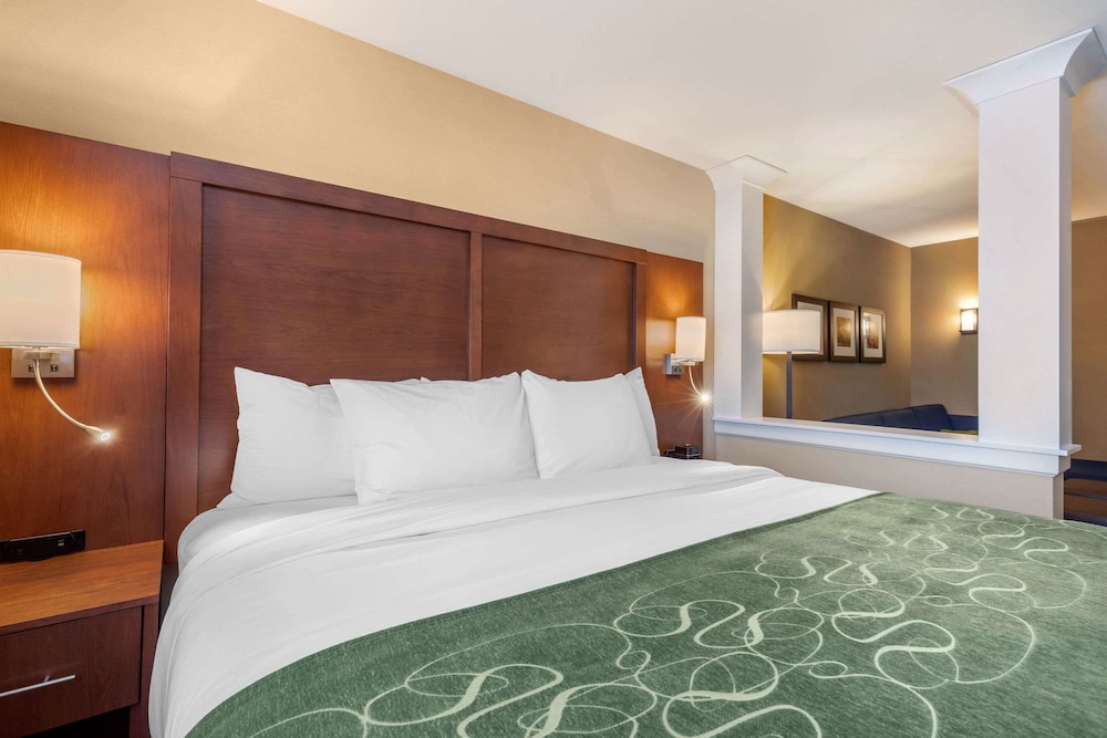 Comfort Inn Suites Schenectady - Scotia 10/44