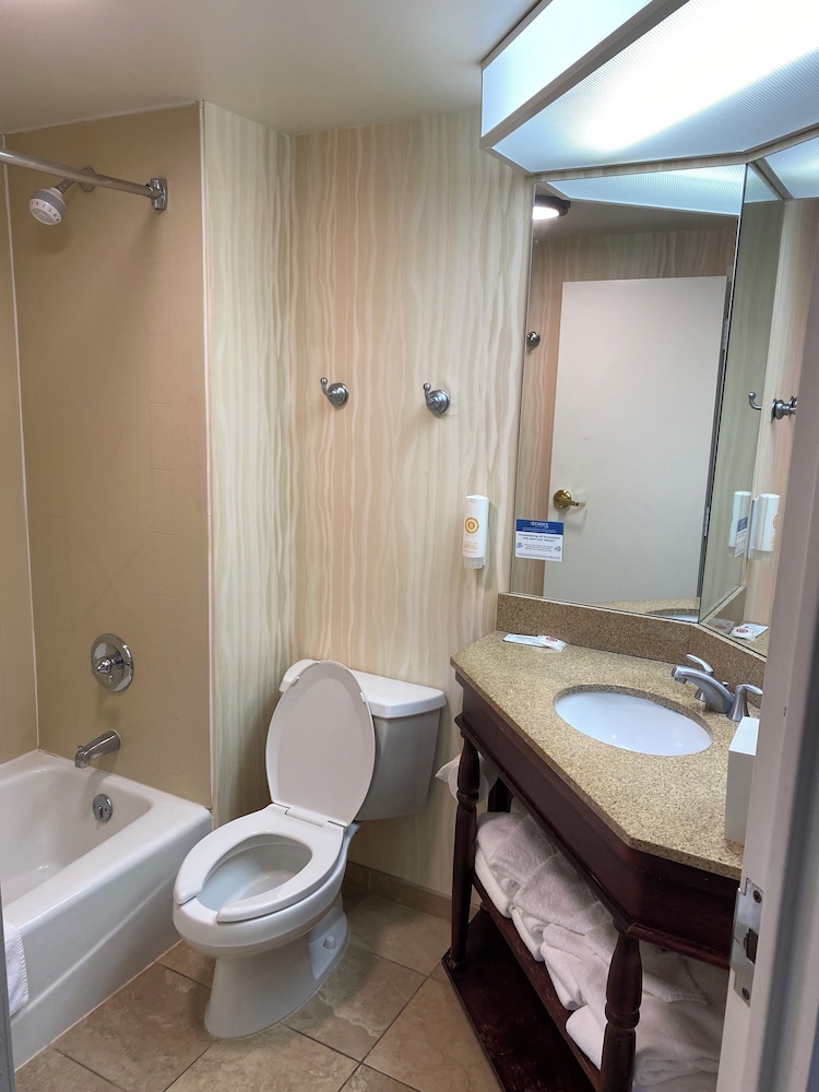 Comfort Inn Suites Newark Wilmington 62/65